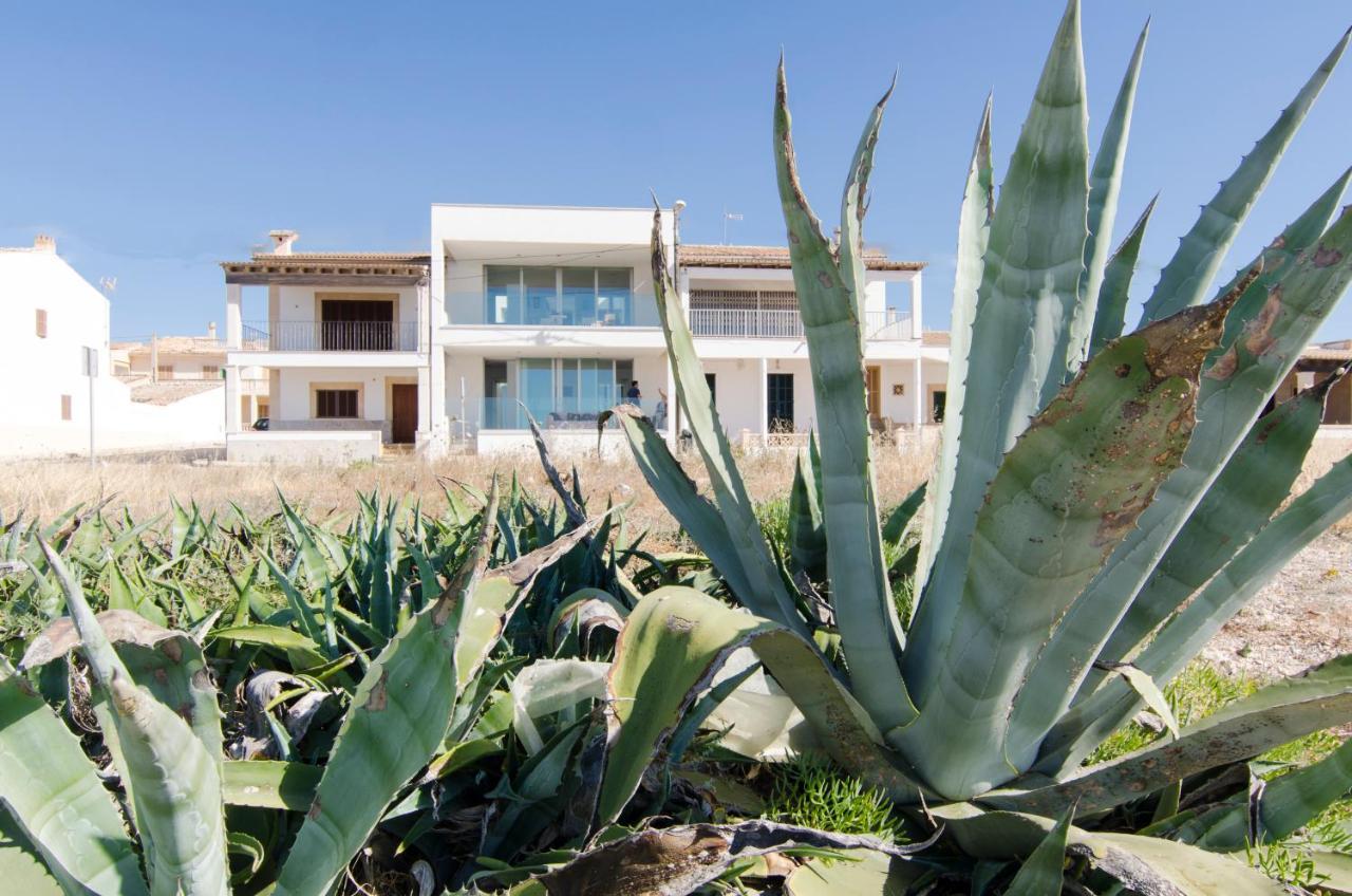 Apartamento S' Estanyol Mar El Estanyol Exteriér fotografie